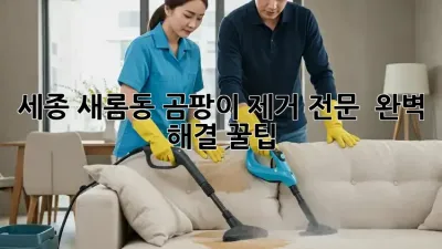 세종 새롬동 곰팡이 제거 전문 💯 완벽 해결 꿀팁!